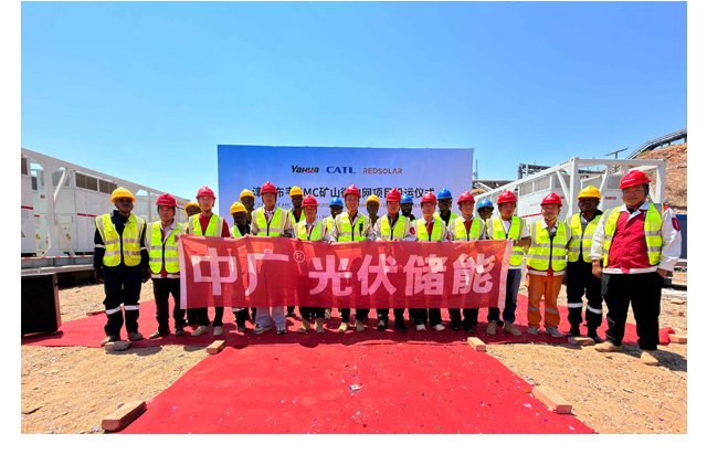Project team
